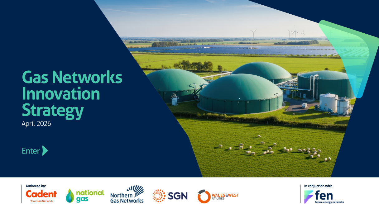 Front cover image of Gas Networks Strategy
