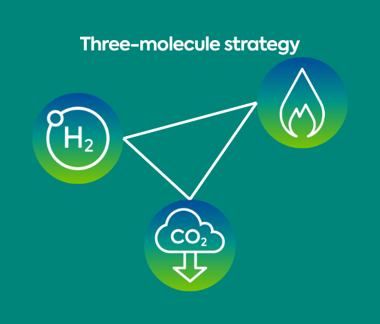 Strategic direction graphic