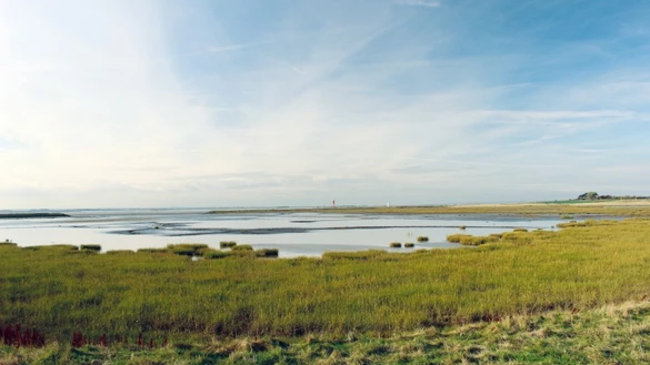 A landscape of grassy marshland leading towards a body of water underneath a blue and cloudy sky - River Humber pipeline project