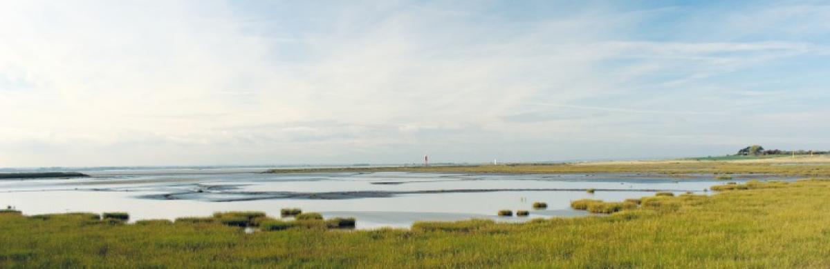 A landscape of grassy marshland leading towards a body of water underneath a blue and cloudy sky - River Humber pipeline project